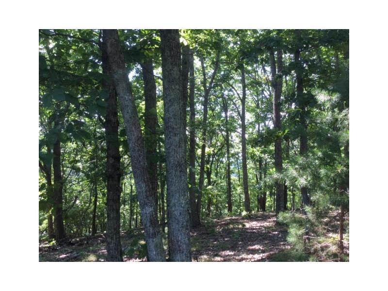 8251 Cox Mountain Drive, Big Canoe, GA 30143 (MLS #5745152) :: North Atlanta Home Team