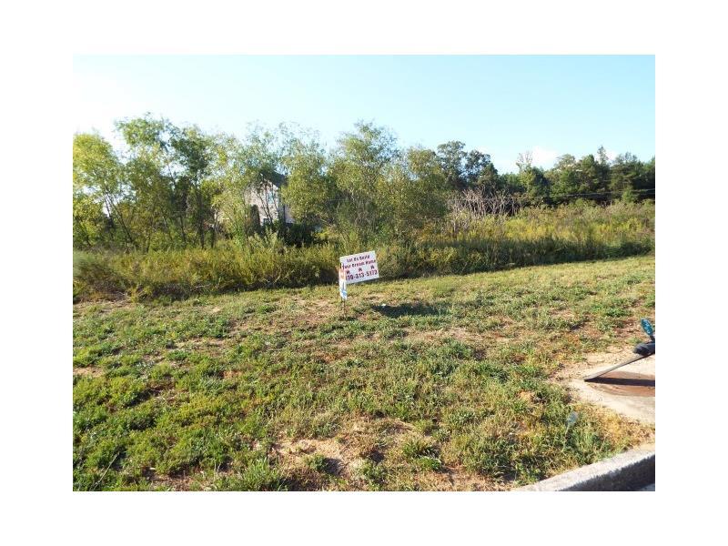 0 Susie Creek Lane - Photo 1