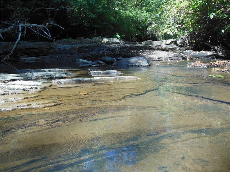 1135 Wild Azalea Trail - Photo 1
