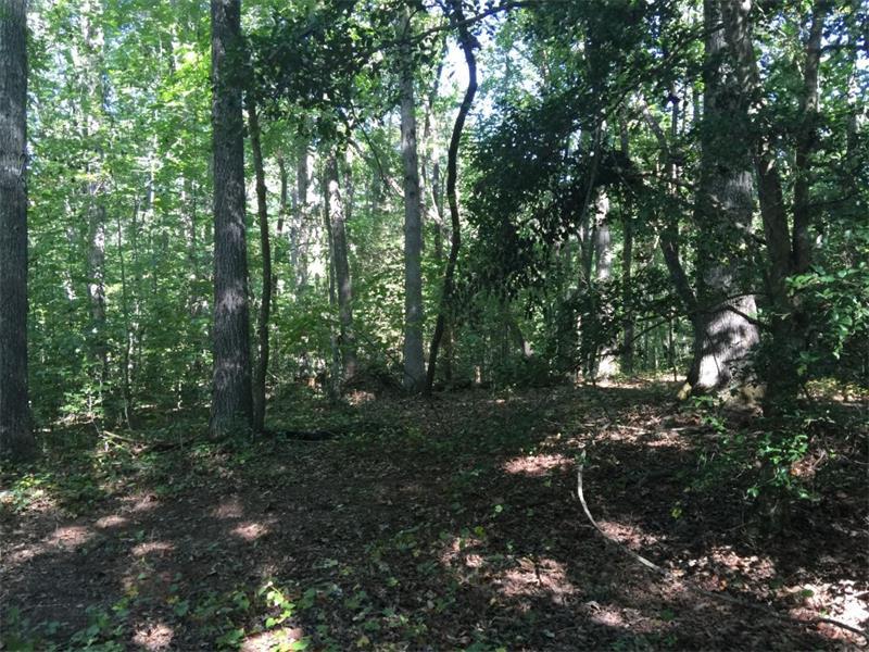21 Acr Old Ellijay Road - Photo 1