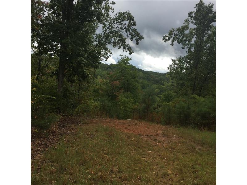 00 Paris Mountain Road, Rockmart, GA 30153 (MLS #5749945) :: North Atlanta Home Team