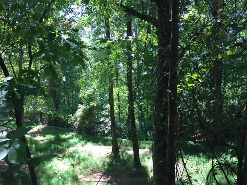 5451 Pine Forest Road - Photo 1