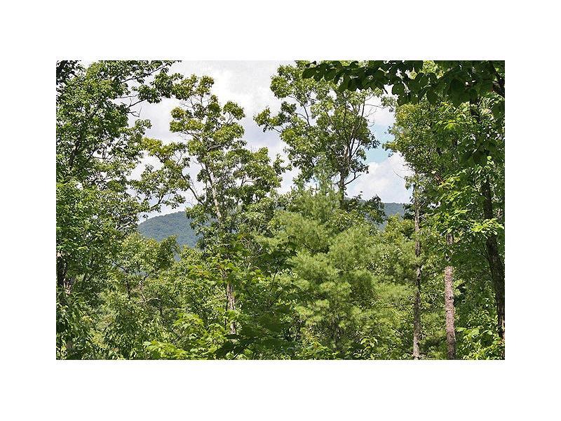 40.6ac Off Of Fred Burns Road - Photo 1