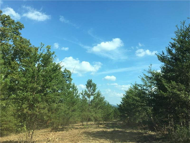 0 Fuller Mountain Road - Photo 1