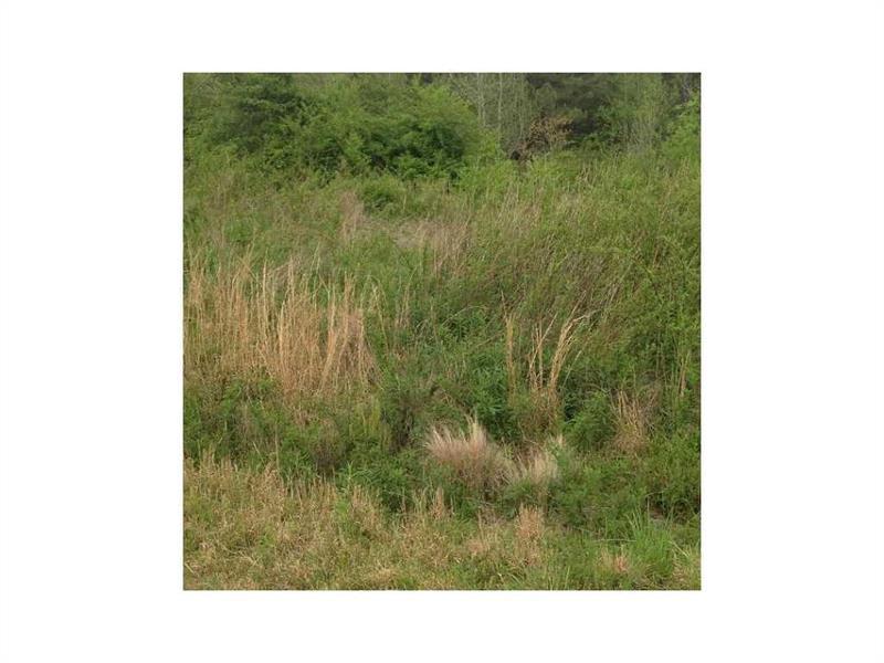 Lot 22 Hampton Farms Trail - Photo 1