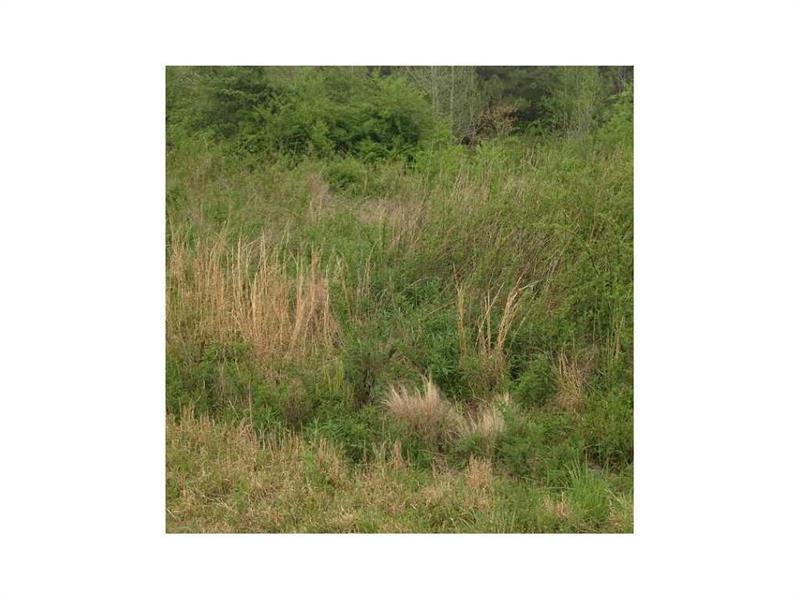Lot 38 Hampton Farms Trail - Photo 1