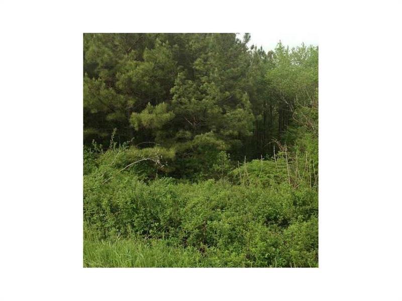 Lot 21 Hampton Farms Trail - Photo 1