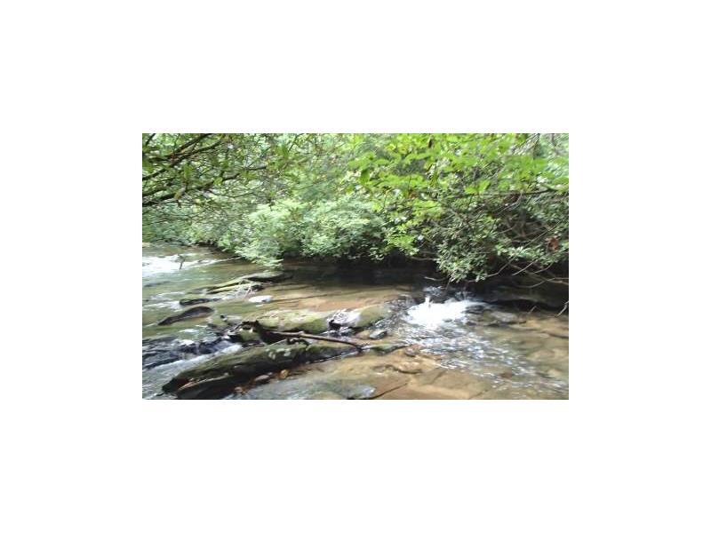 4ac Big Creek Road Highway, Blue Ridge, GA 30513 (MLS #5755783) :: North Atlanta Home Team