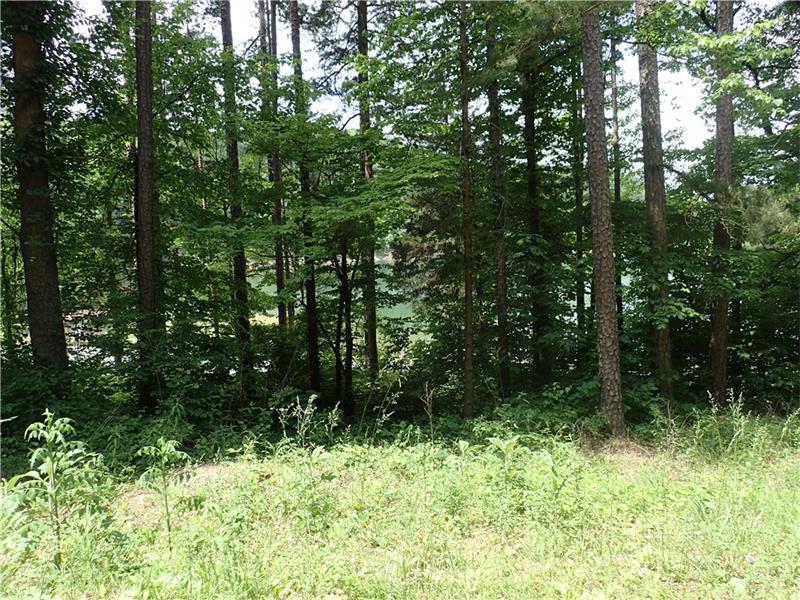 0 Garland Mountain Road, Waleska, GA 30183 (MLS #5755895) :: North Atlanta Home Team