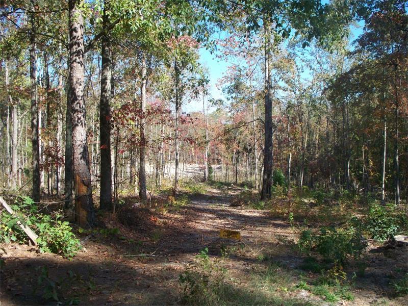 0 Ga Highway 85 Tract 13 - Photo 1