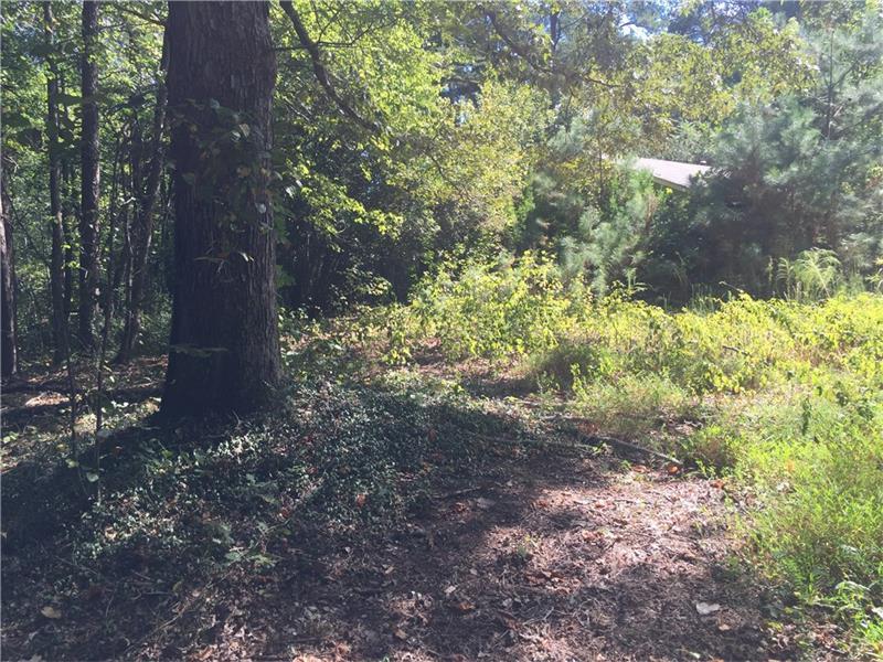 2099 Canton Highway - Photo 1