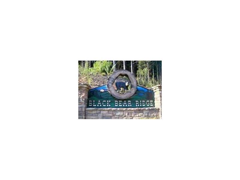 Lot 45 Black Bear Ridge - Photo 1