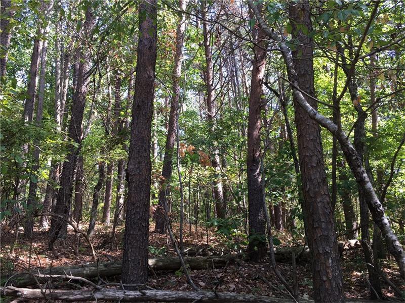 00 Henderson Mountain Road, Jasper, GA 30143 (MLS #5757308) :: North Atlanta Home Team