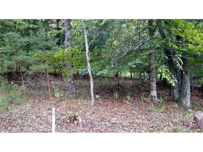 210 Rocker Drive, Dahlonega, GA 30533 (MLS #5757490) :: North Atlanta Home Team