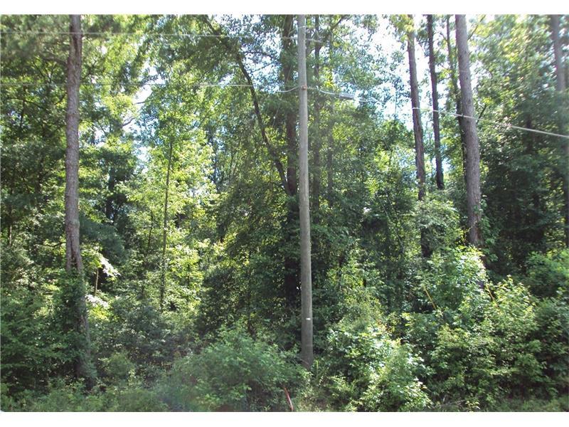 0 Hwy 341 41 Drive - Photo 1