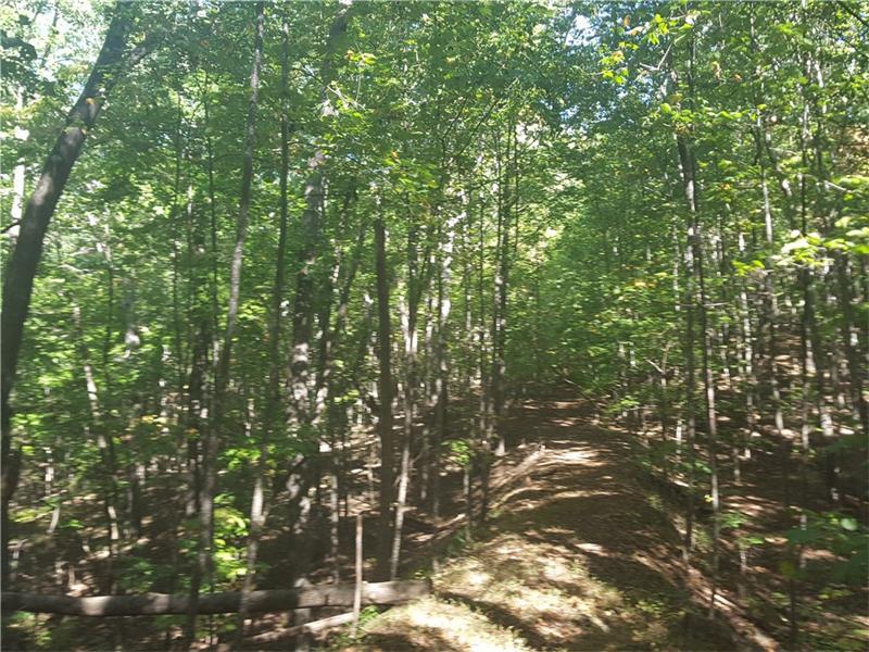 0 Browntown Road - Photo 1