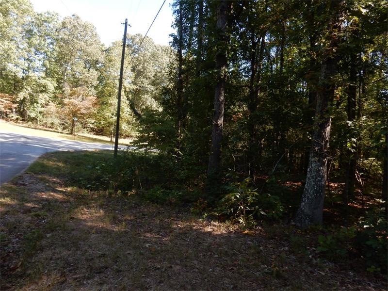 0 Bruce Road - Photo 1