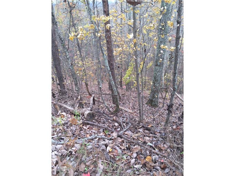 26 Carters Overlook - Photo 1