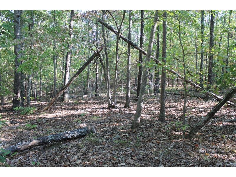 0 Esom Hill Road, Cedartown, GA 30125 (MLS #5760239) :: North Atlanta Home Team