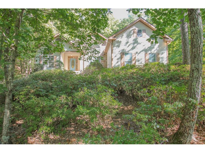 783 Plum Lane, Clarkesville, GA 30523 (MLS #5762005) :: North Atlanta Home Team