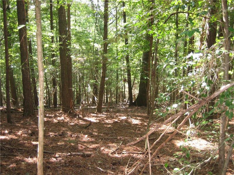 Lot 30 Lakeview Circle - Photo 1