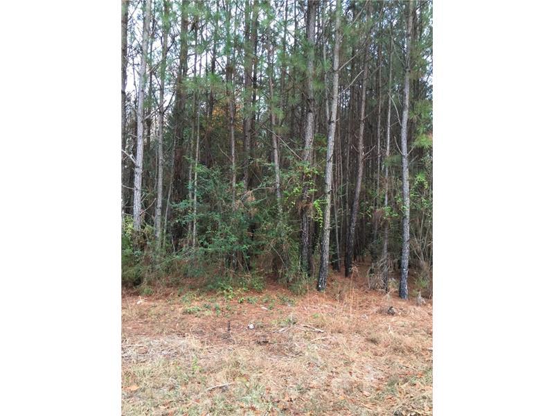 00 Richard Pullen Road - Photo 1