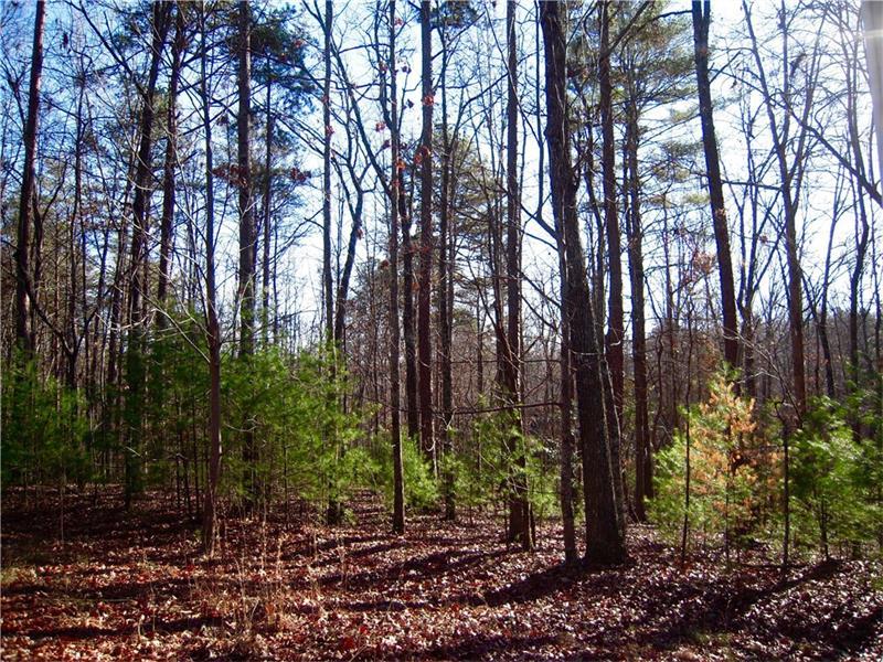Lot 6 Arborwood Drive - Photo 1