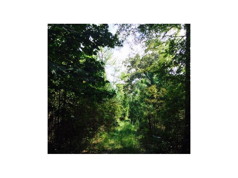 0 Twin Bridges Road, Eatonton, GA 31024 (MLS #5788105) :: Carrington Real Estate Services