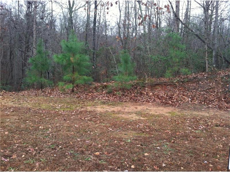 1641 Laricks Lane - Photo 1