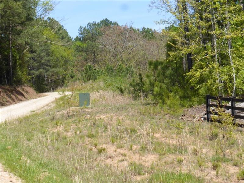 0 Gregg Shoals Road - Photo 1