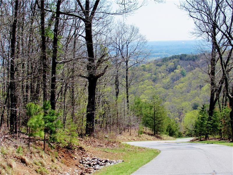 82 Sharp Mountain Parkway - Photo 1