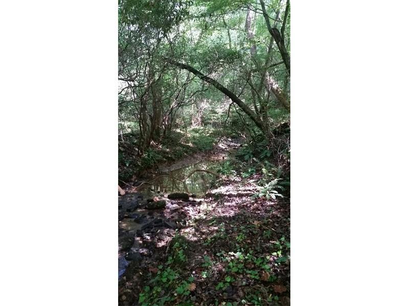 Lot 14 Goldmine Road - Photo 1