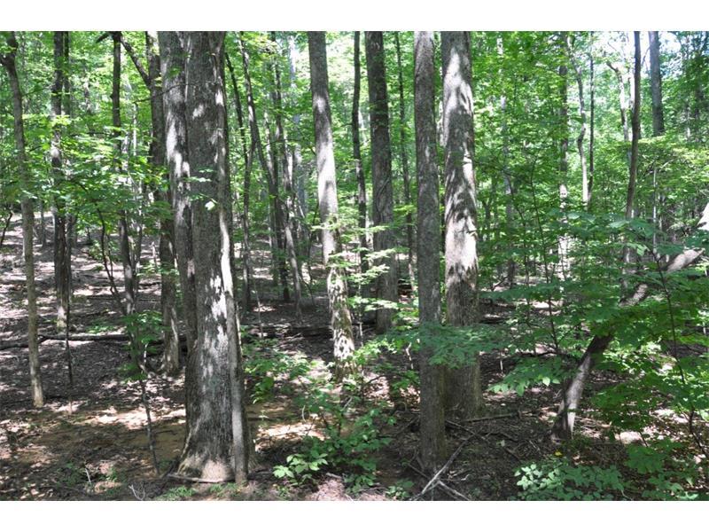 4069 Little Beaver Run - Photo 1