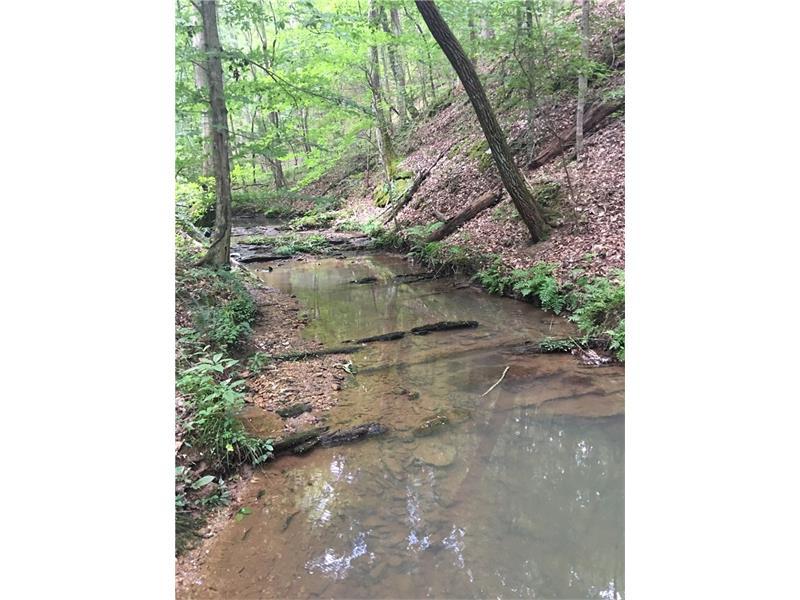 473 Lucas Road - Photo 1