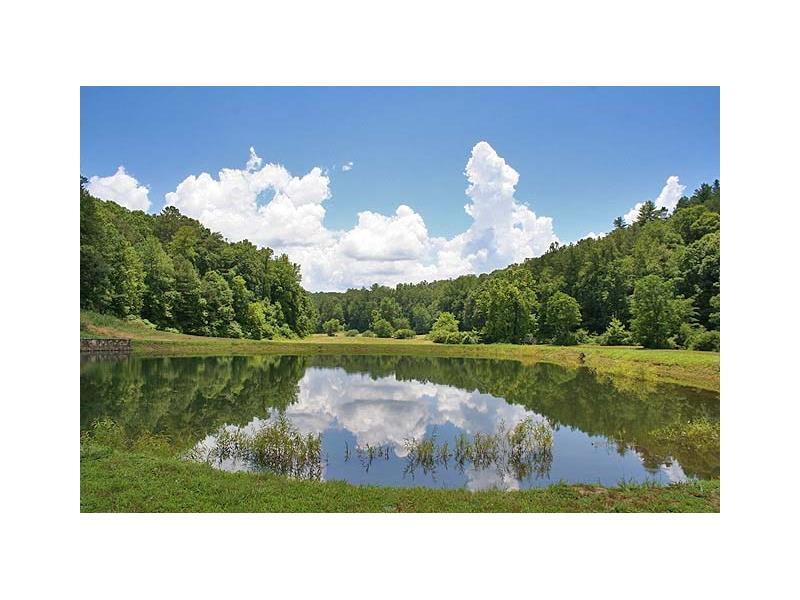 568 Tails Creek Church Road - Photo 1