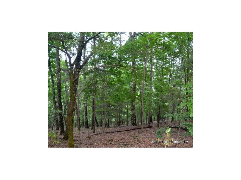 2592 Summit Drive - Photo 1