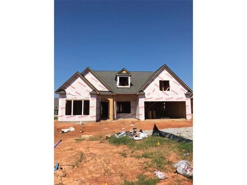 4458 Big Rock Ridge Trail - Photo 1