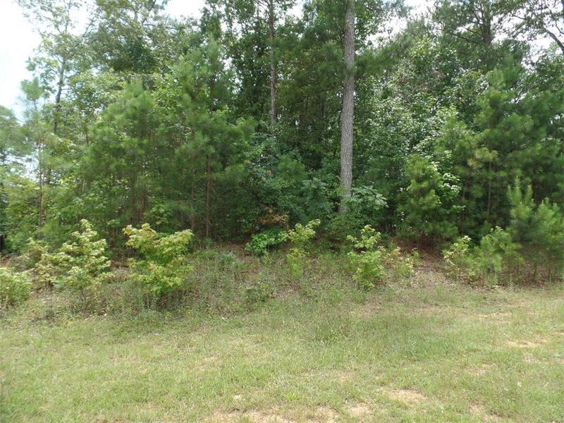 8340 Nolandwood Lane - Photo 1