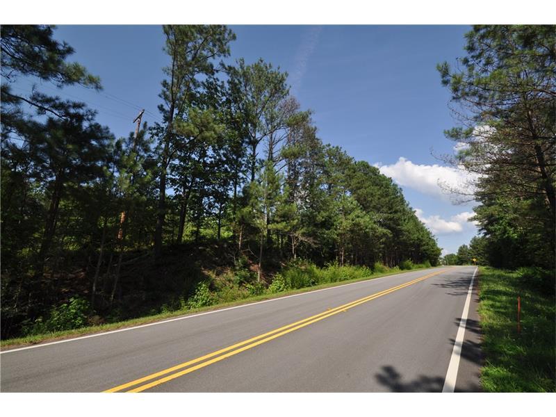 000 Mount Olivet Loop - Photo 1