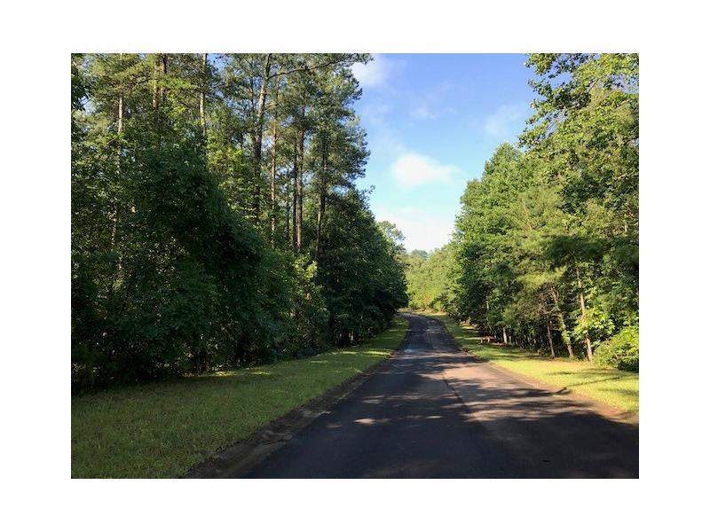 LOT 4 Laurel Ridge Lane - Photo 1