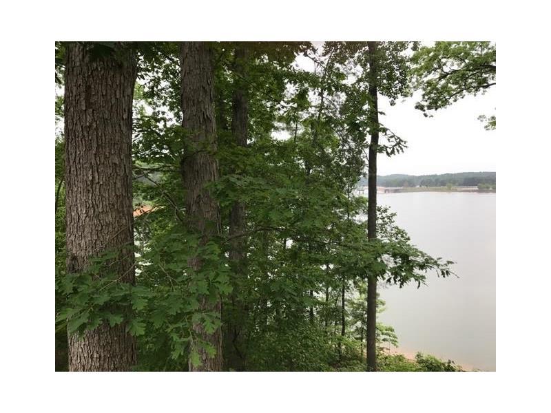 3204 The Trail Road - Photo 1