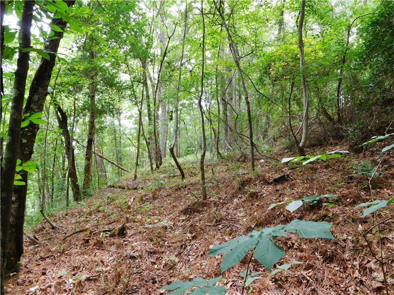 00 Little Refuge Road - Photo 1