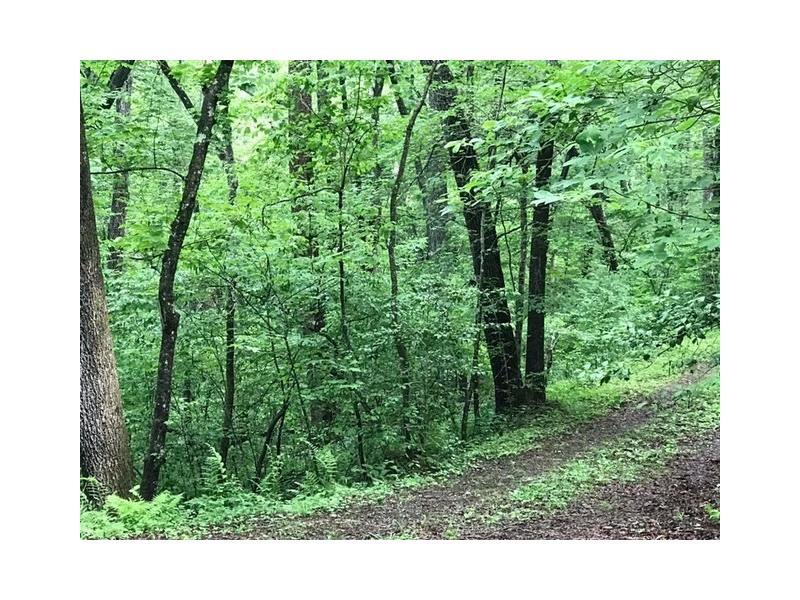 LT 31 Old Mill Pond Road - Photo 1