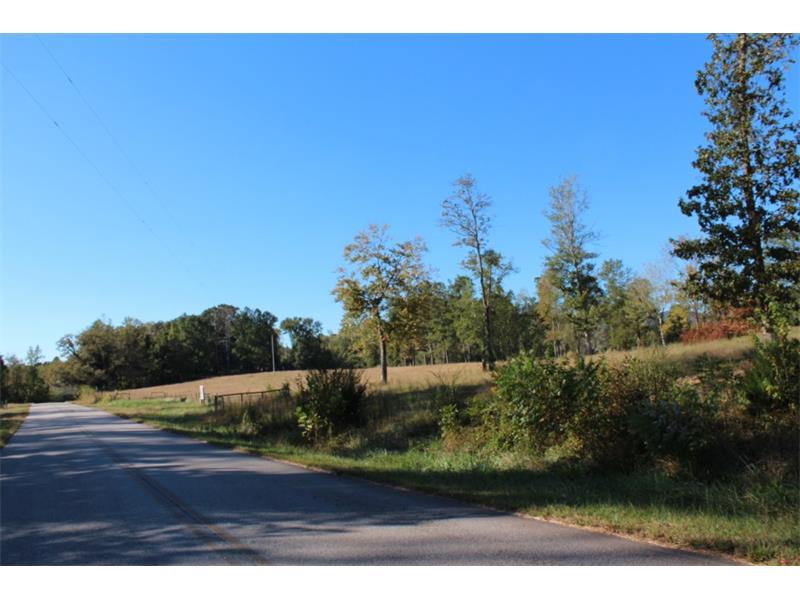 5519 Black Road Tract 1 - Photo 1