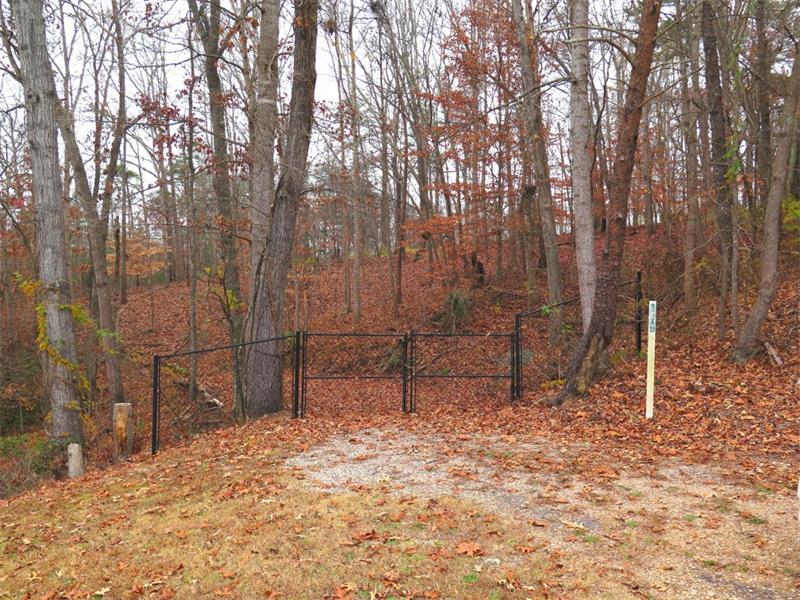 784 Robinhood Trail - Photo 1
