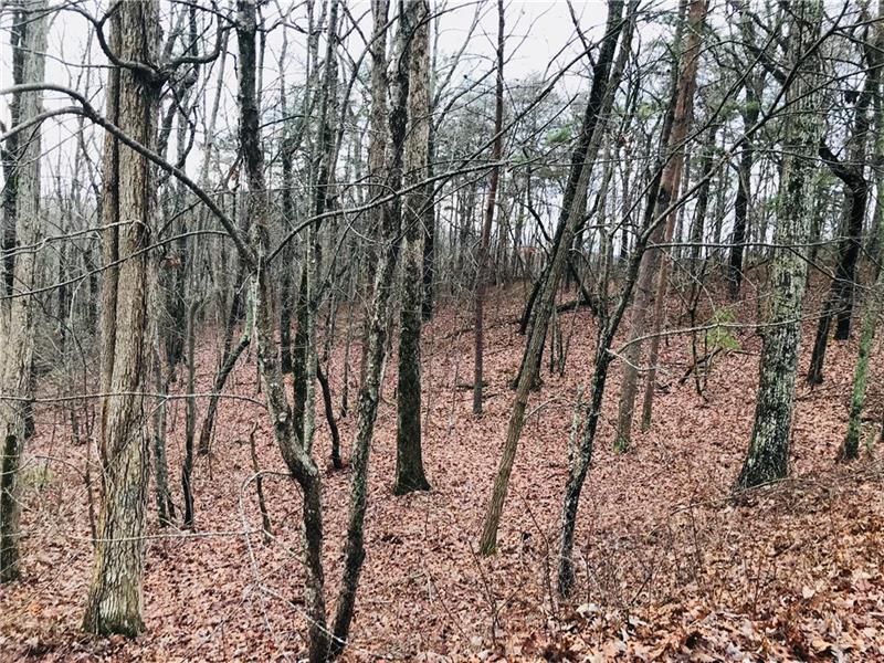 Lot 6 Outback Ridge Trail - Photo 1