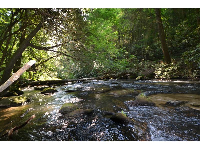 Lot 7 Mountain Falls Overlook - Photo 1