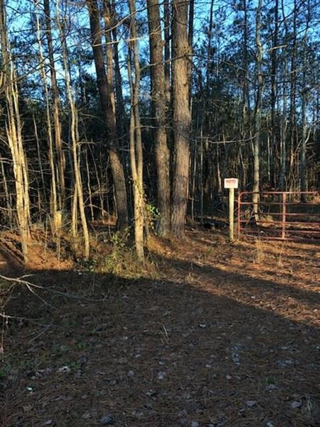6037 Jacobs Road - Photo 1