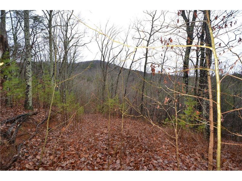 00 Henderson Mountain Road - Photo 1