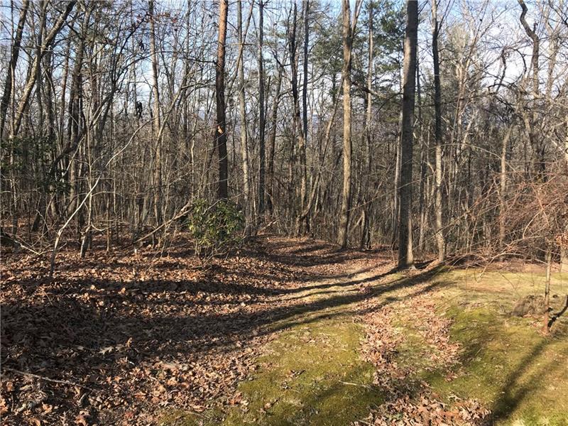 0 Southern Off Road - Photo 1